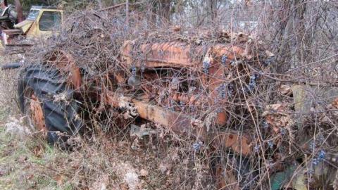 decaying vehicles - Decaying-Vehicles2.jpg