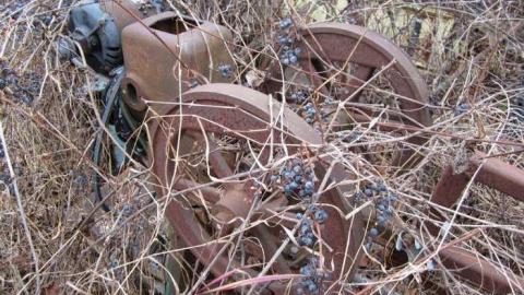 decaying vehicles - Decaying-Vehicles14.jpg