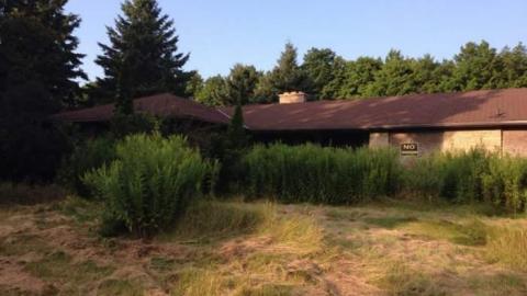 That 70's House photo 4