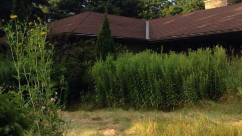 That 70's House photo 2