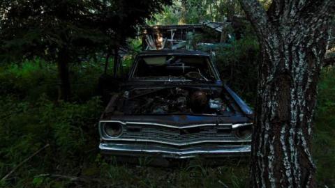 Treefarm Collapsed House - Treefarm-Collapsed-House5.jpg