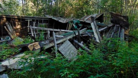 Treefarm Collapsed House - Treefarm-Collapsed-House6.jpg