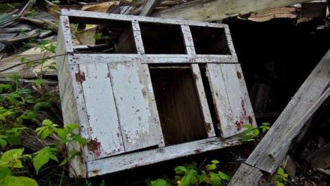 Treefarm Collapsed House - Treefarm-Collapsed-House12.jpg