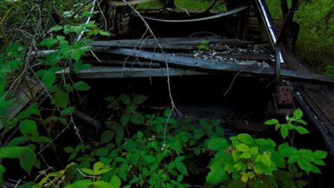 Treefarm Collapsed House - Treefarm-Collapsed-House7.jpg