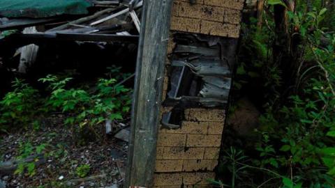 Treefarm Collapsed House - Treefarm-Collapsed-House13.jpg