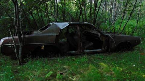 Treefarm Collapsed House - Treefarm-Collapsed-House2.jpg