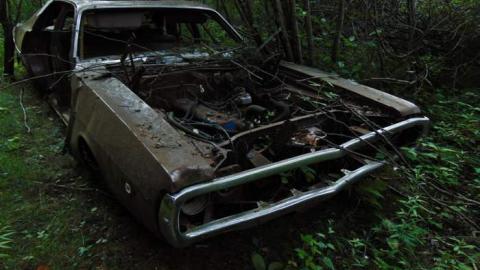 Treefarm Collapsed House - Treefarm-Collapsed-House9.jpg