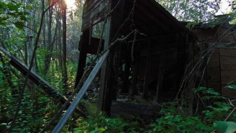 Treefarm Collapsed House - Treefarm-Collapsed-House3.jpg