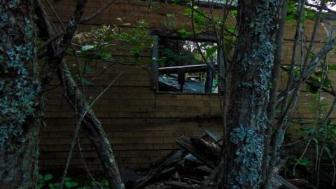 Treefarm Collapsed House - Treefarm-Collapsed-House10.jpg