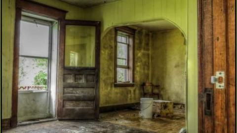 The Bee House photo 3