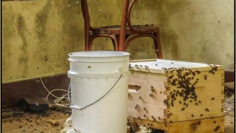 Bee House - Summer 2014 - The Bee House 04.jpg