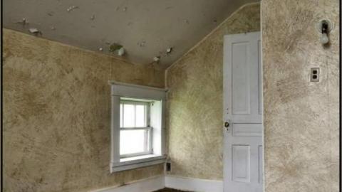 Bee House - Summer 2014 - The Bee House 06.jpg