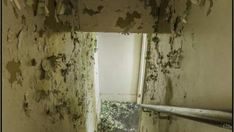 The Bee House - Haldimand County, Ontario