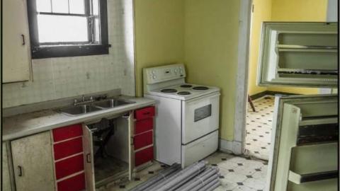 The Bee House photo 2