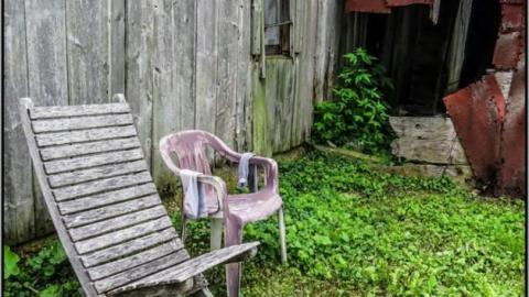 Bee House - Summer 2014 - The Bee House 15.jpg