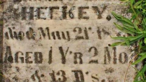 Galt Pioneers - Zion-United-Cemetery34.jpg