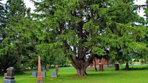 Galt Pioneers - Zion-United-Cemetery27.jpg