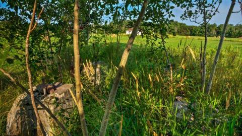 Killaloe Aeradio Weather Station photo 5