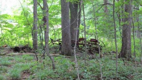 Lost in Time - Sandy-Hills-Derelicts2.jpg