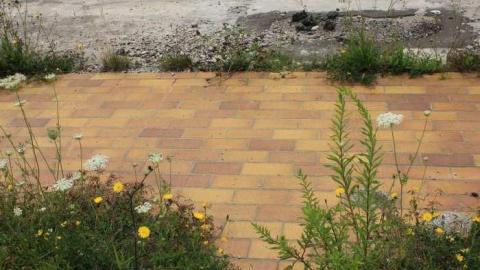 Cooper Site - Grand-Trunk-Railway-Shops101.jpg