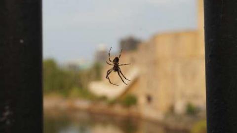 Scary Mill - Booth-Board-Mill169.jpg