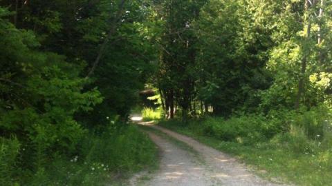 August 1, 2014  - Pioneer-Mansion37.jpg