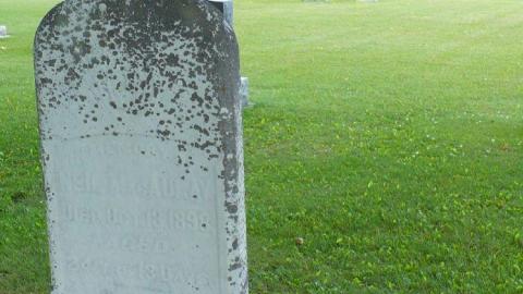 Unknown - Unknown-Community5.jpg