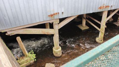 Entered In Ayr - Mudges-Mill-(Ayr)26.jpg