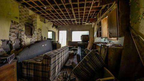 Cows and Tea - WideOpen4-6984.jpg