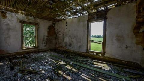 Cows and Tea - WideOpen4-6987.jpg