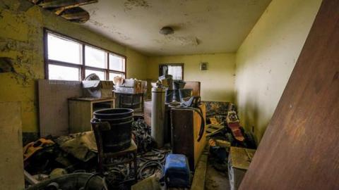 Cows and Tea - WideOpen4-6993.jpg