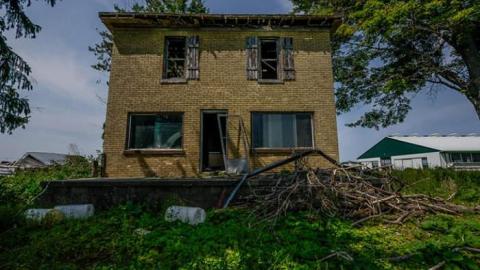 Cows and Tea - WideOpen4-6999.jpg