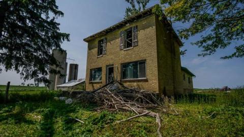 Cows and Tea - WideOpen4-7002.jpg