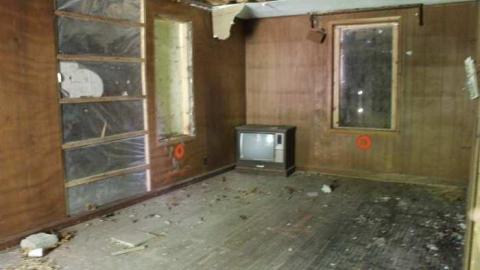 Photo from A look back