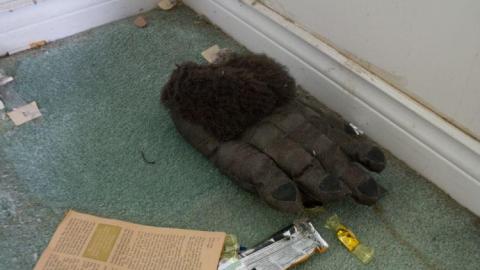 August 2014 - DSC_0617.jpg