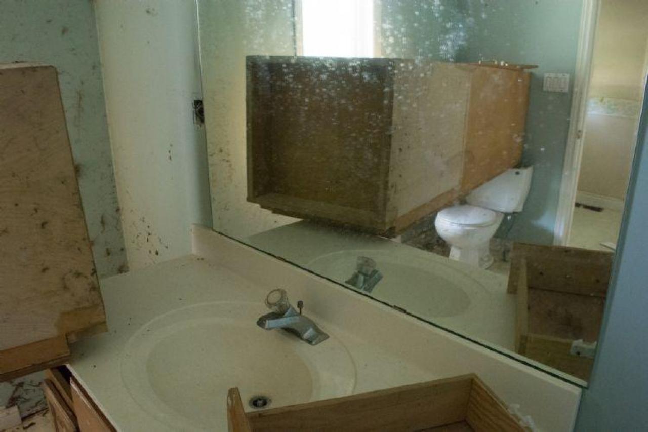 August 2014 - DSC_0649.jpg