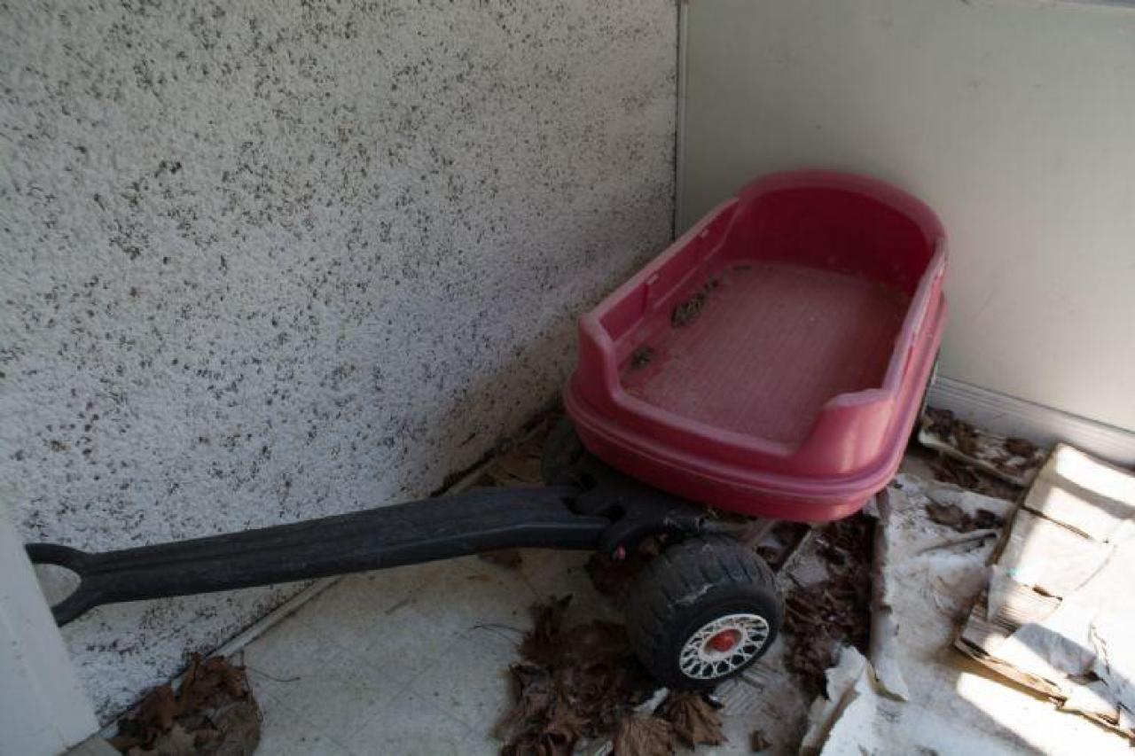 August 2014 - DSC_0691.jpg