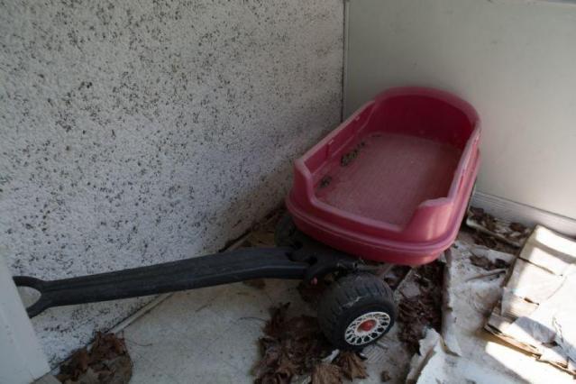 August 2014 - DSC_0691.jpg