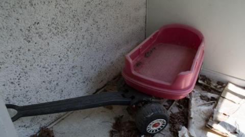 August 2014 - DSC_0691.jpg