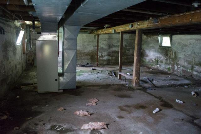 August 2014 - DSC_0709.jpg