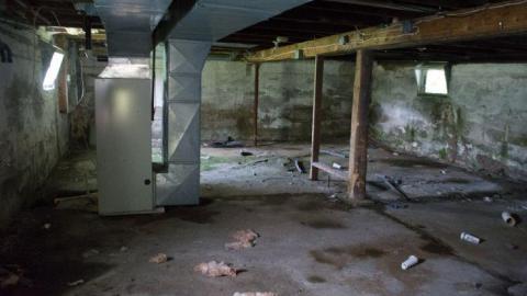 August 2014 - DSC_0709.jpg