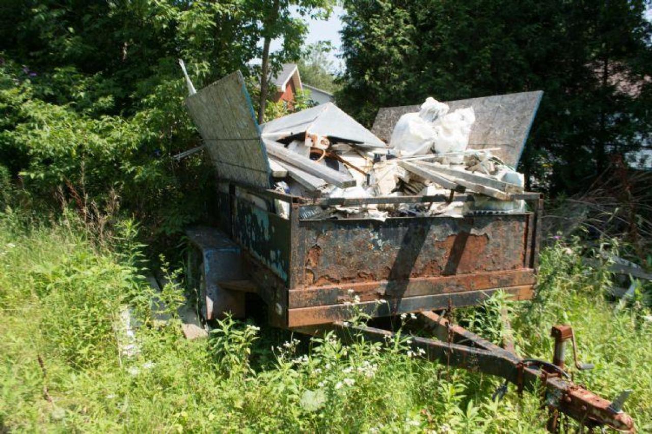 August 2014 - DSC_0736.jpg