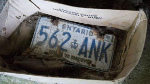 August 2014 - DSC_0739.jpg