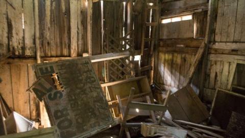 August 2014 - DSC_0753.jpg