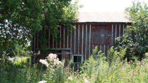 August 2014 - DSC_0778.jpg