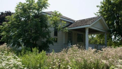 August 2014 - DSC_0792.jpg