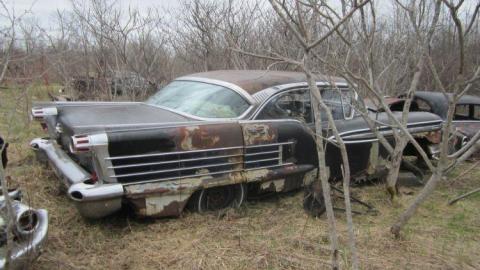 Boneyard - The-Boneyard14.jpg