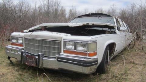 Boneyard - The-Boneyard26.jpg