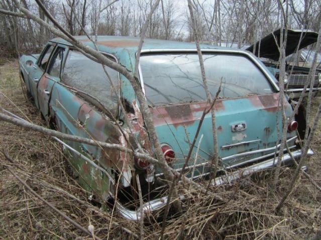 The Boneyard photo 5