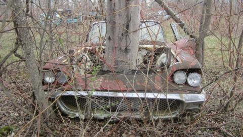 Boneyard - The-Boneyard4.jpg